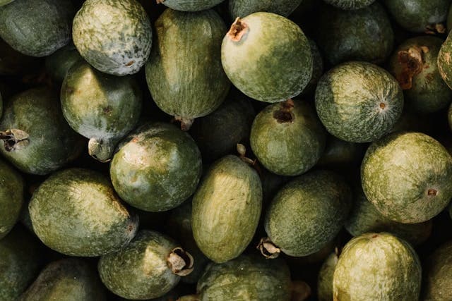 Feijoa