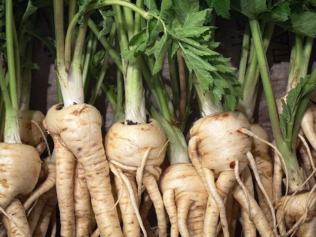 Parsnips